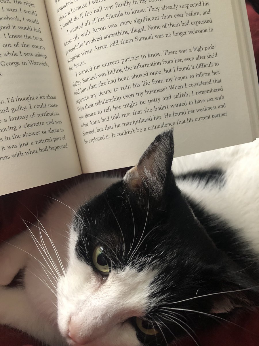 catherinemorrow's tweet photo. My current position this #Sunday morning 😻 Reading more of #eggshellskull by @bri_lee_writer @AllenAndUnwin. Bri’s fight to address, confront and uphold what’s important to her professionally and personally is so brave. So inspiring. So important 👏🏻👏🏻 https://t.co/RGfetSo3DS