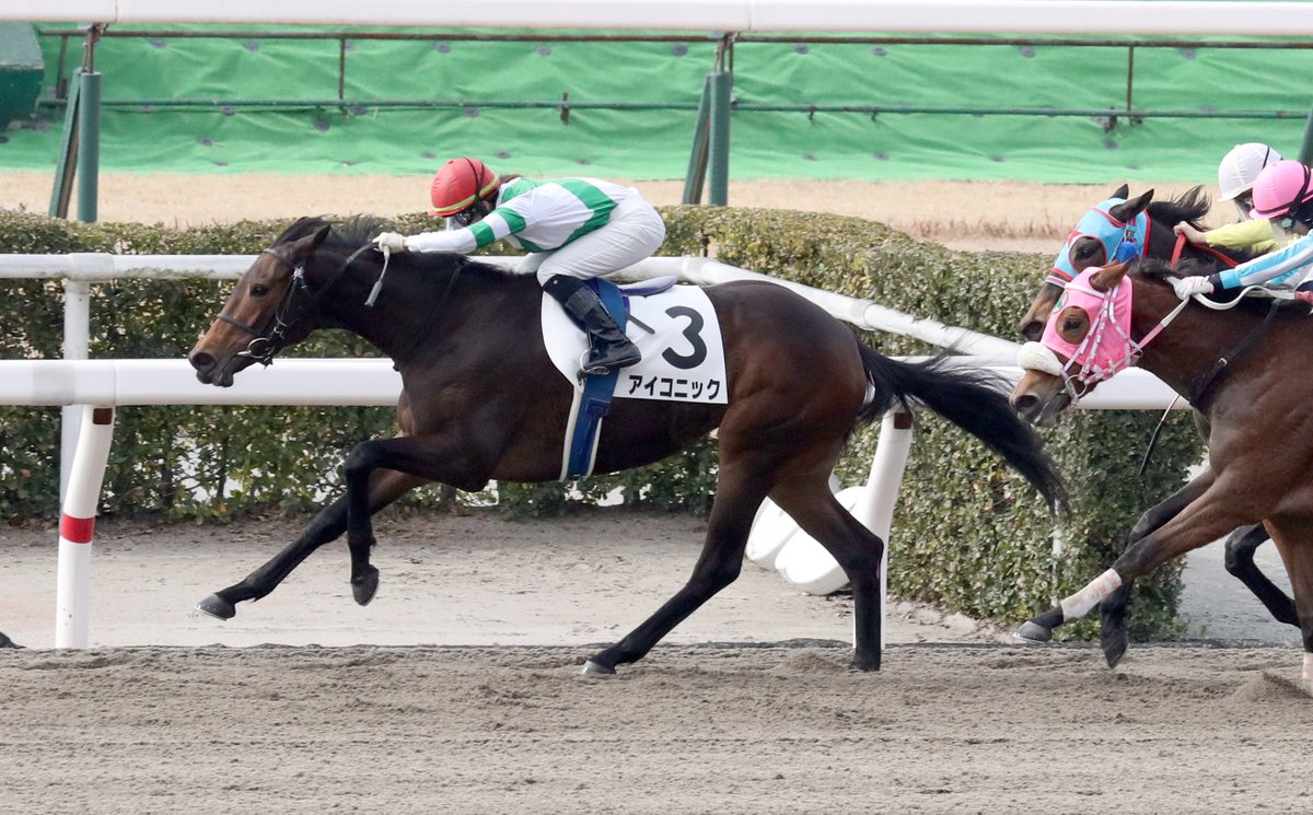 大阪サンスポレース部 ちなみに さる１月31日にタレント 伊藤ゆみが所属するエイベックスからの退所を発表 かつて歌手 ｉｃｏｎｉｑ アイコニック としてメディアに登場していました 彼女のニュース直後の出走 ファンなら 10頭立て５番人気でも買えた