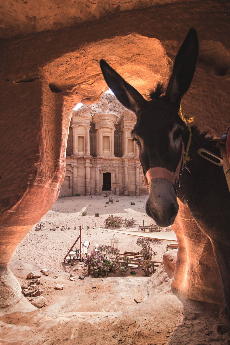 larose_desvents's tweet photo. Nouvel article sur le #blog. On reste sur le thème de la #Jordanie avec l'idée de vous aider à y préparer votre futur voyage.
https://t.co/HswGUWLURE
#VisitJordan #Jordan https://t.co/9j3P6DYKes