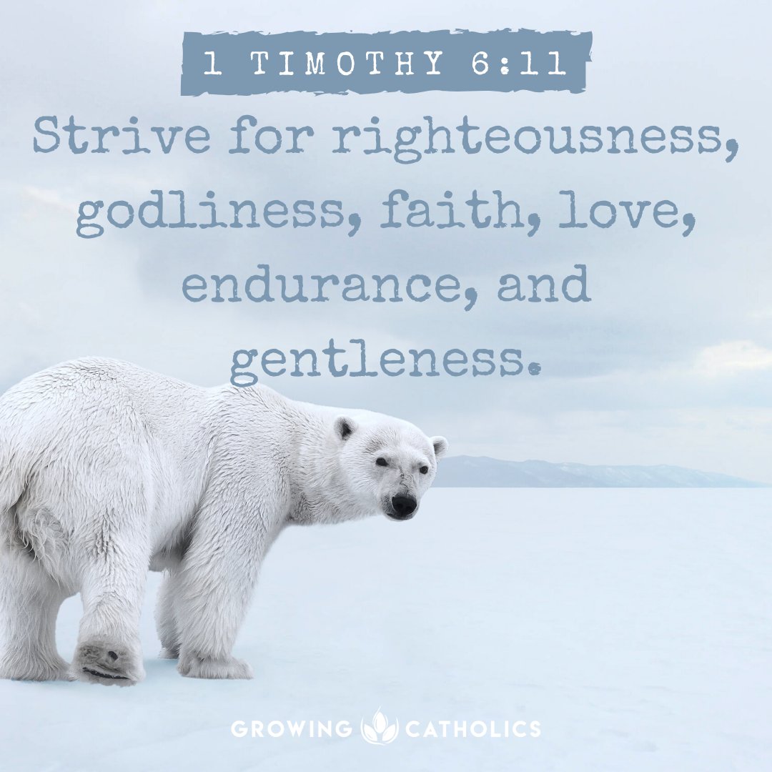 GCatholics's tweet photo. Strive - https://t.co/MO5i5vOeke
#bible #bibleverse #scripture #scriptureverse https://t.co/LR1JtK73wF