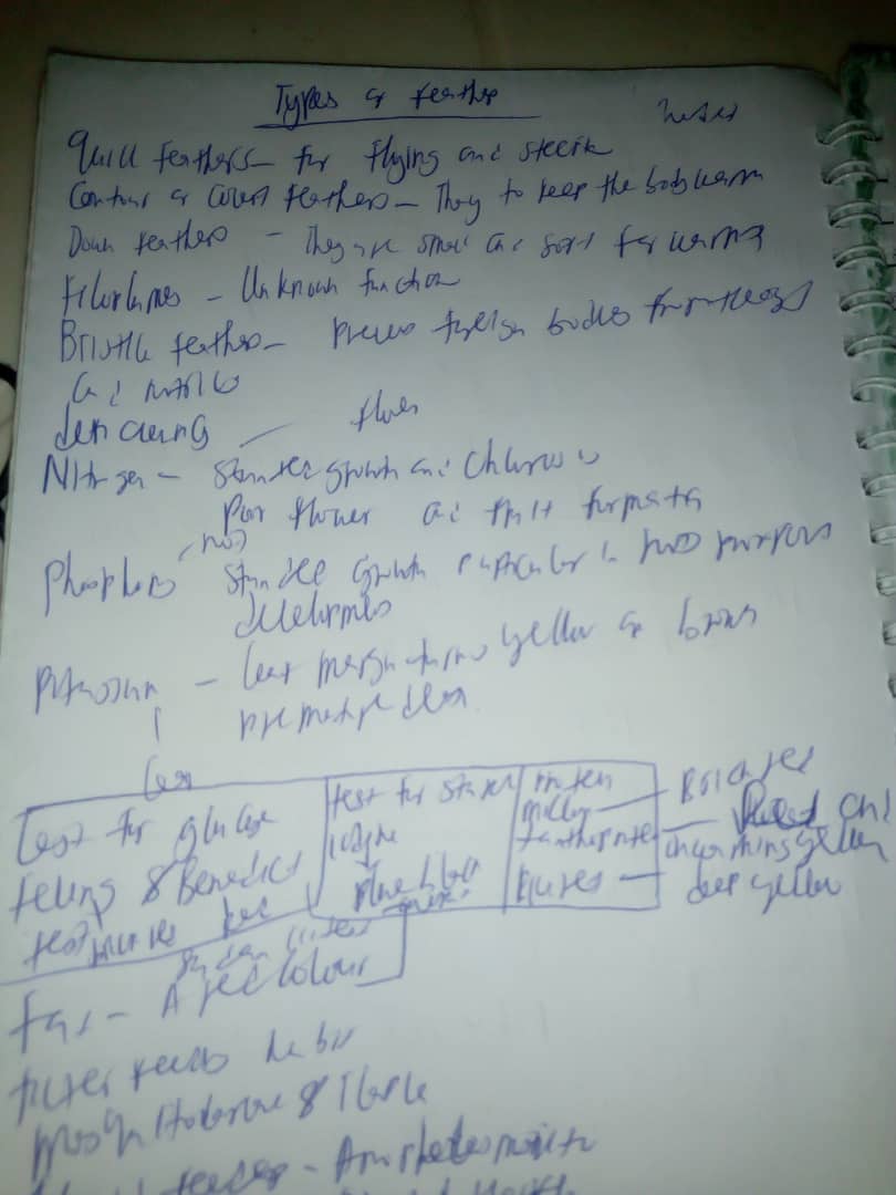 iam_kiddee's tweet photo. Happy sunday!! 
The face                        The handwriting https://t.co/trXNJjKMnf