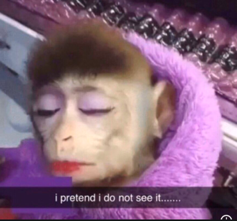 EPwDQdpXUAEdG7P?format=png&name=small