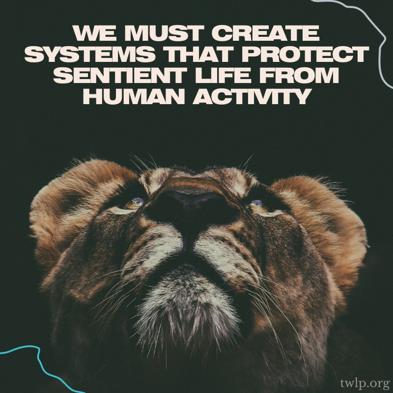 twlp_org's tweet photo. What do these systems look like to you?

#vegan #veganism #animalrights #animals #sentient #sentience #fridaysforfuture https://t.co/axPt9fuvme