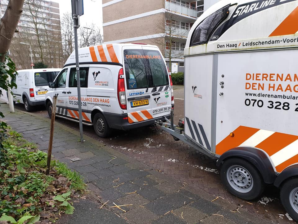 DierenAmsterdam's tweet photo. Update #DeWulp: Gisteren was het zover, grote #gans verhuizing #Dierenhospitaal #Dierenambulance #DenHaag heeft geholpen met vervoer naar @Ganzenparadijs Dag gansjes, ga jullie goed @Toevlucht #DierenambulanceRondeVenen #Amstelland #Kennemerland #NoordHollandZuid #samenvoorganzen https://t.co/5j6V54PAYt