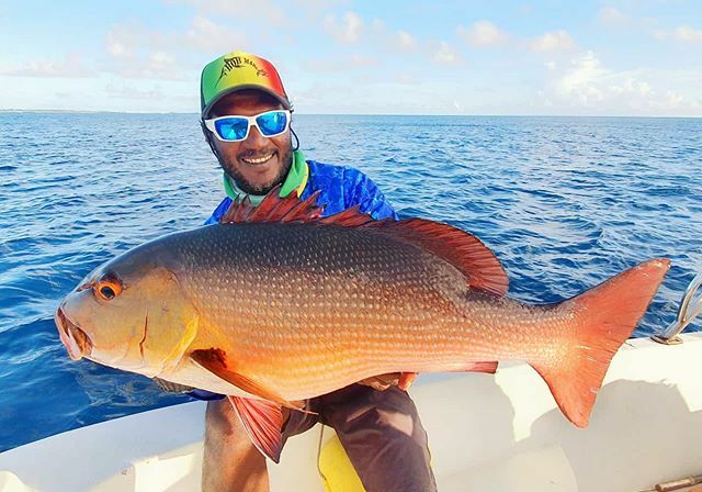 shenvyl's tweet photo. OH ! NO ! Its being eaten by a ..... @bobmarlingear 
@kbeanglershub 
@shopngo.mv 
@costadelmar.mv 
#maldives #adduatoll #sportfishing #bobmarlingear #OneLoveForFishing #kbeanglershub #costadelmar.mv #shopngomv #topwateraddict #fishing #fishingislife #Lig… https://t.co/uNFdHEIIBD https://t.co/4zjQO3e47s