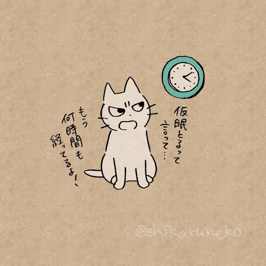 仮眠のつもりが何時間も寝てしまう人を叱ってくれる猫 