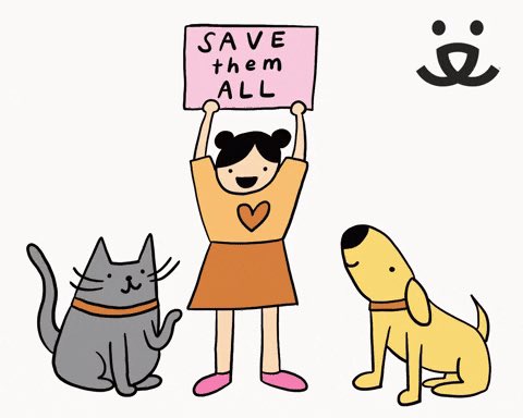FotosGab's tweet image. AdoptDontShop!!   #PetsMakeaDifference