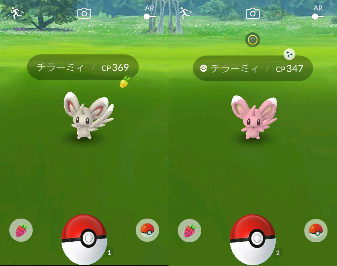 チラーミィ 進化 イメージポケモンコレクション チラーミィ 進化 イメージポケモンコレクション