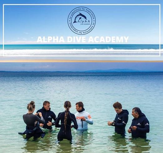 Alpha Dive Centre tweet media