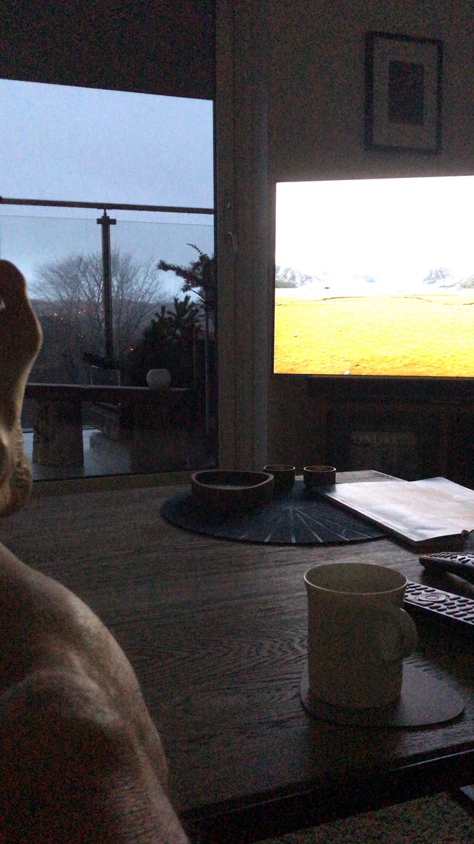 mortenth's tweet image. En grå søndag starter bra med  #NRKSvalbard og kaffe