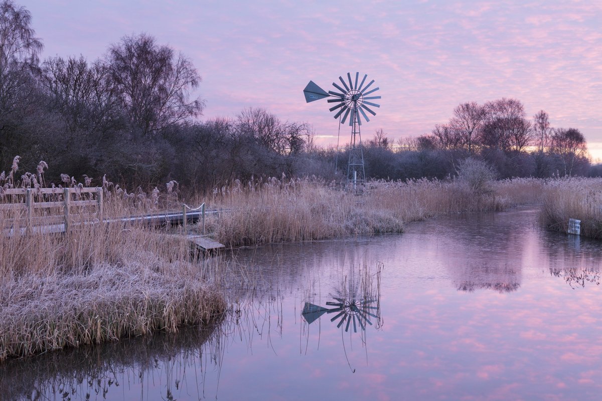 Frosty morning as the sun rises over the wetlands at Wicken Fen.