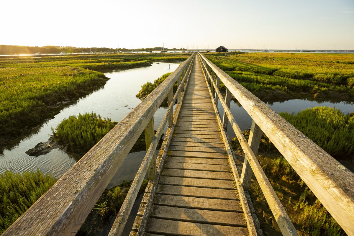 Boardwalk over saltmarshes at Newtown National Nature Reserve.