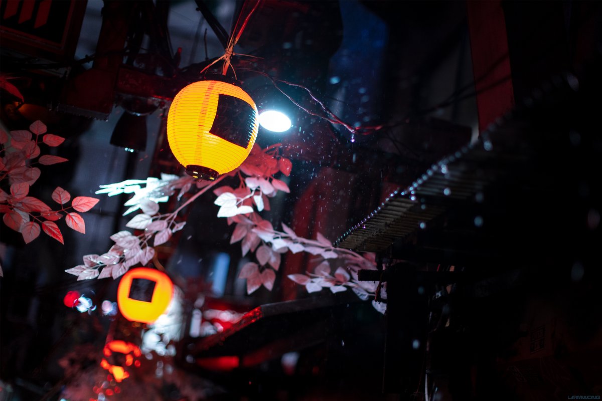 Photography of Tokyo at night by Liam Wong. Captured in Memory Lane, red and orange lanterns are surrounded by the seasonal decorated artificial flowers. The rain is captured falling and is very details.