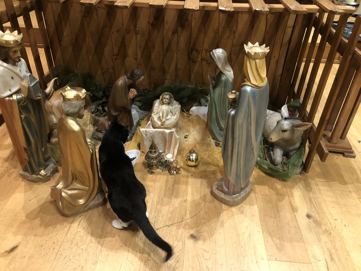 Black and white cat looking at the crib set in front of the altar
