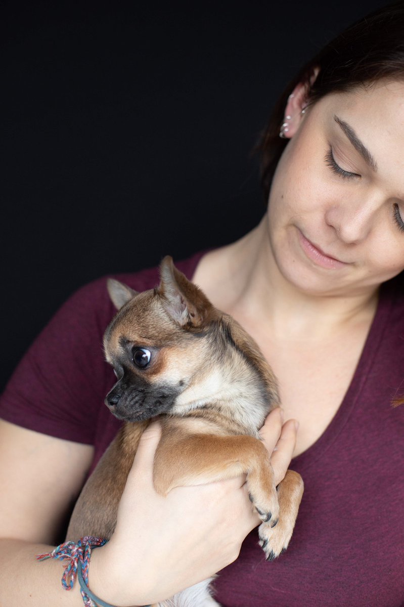 Kim_Scopes's tweet photo. When the photographer’s littlest assistant Pip the puppy had to make an appearance! ❤️
Katie Knight- McAdams is fab & I highly recommend
Final shots coming soon!
.
#actress #acting #puppeteer #puppetry #stage #theatre #screen #stagesctor #screenactor #commercialcasting #headshots https://t.co/ALA5YNqq2U