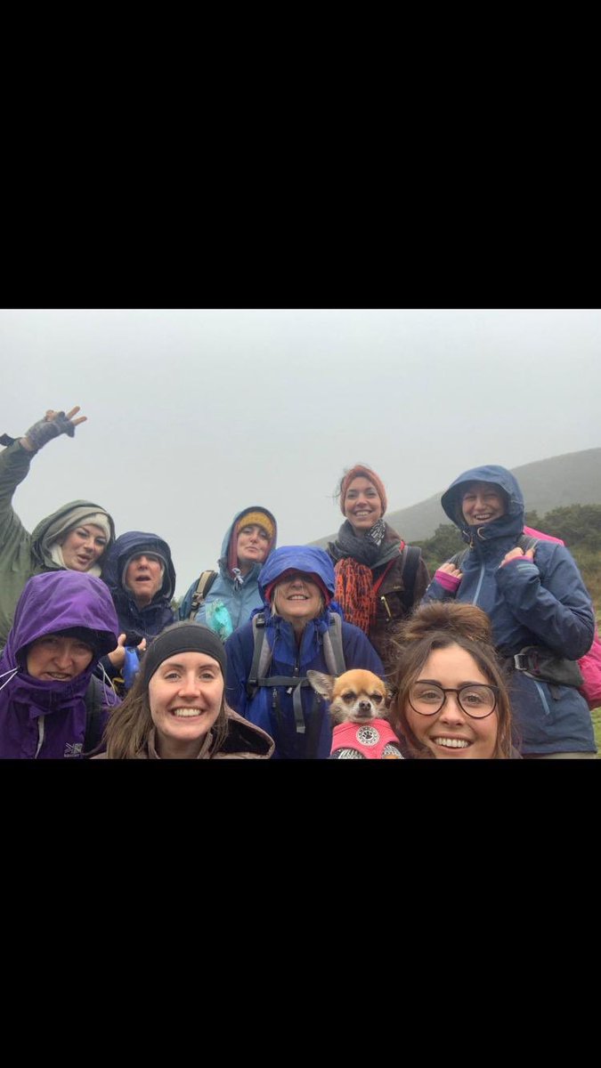 Team Paeds and our dogs had a great time staying at the YHA in the Breacon Beacons. Here we are battling the driving rain walking to Llan y Fan Fach #teampaeds #YHA #lovewalking