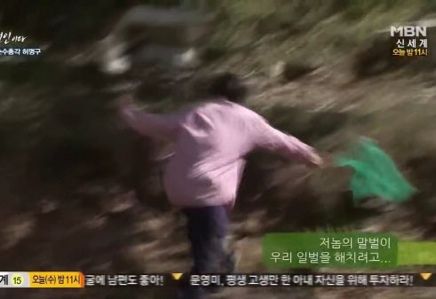 탐라박제계 (@yoongi__aeong) on Twitter photo 