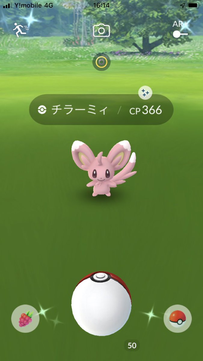 ニドランメス ニドランメス