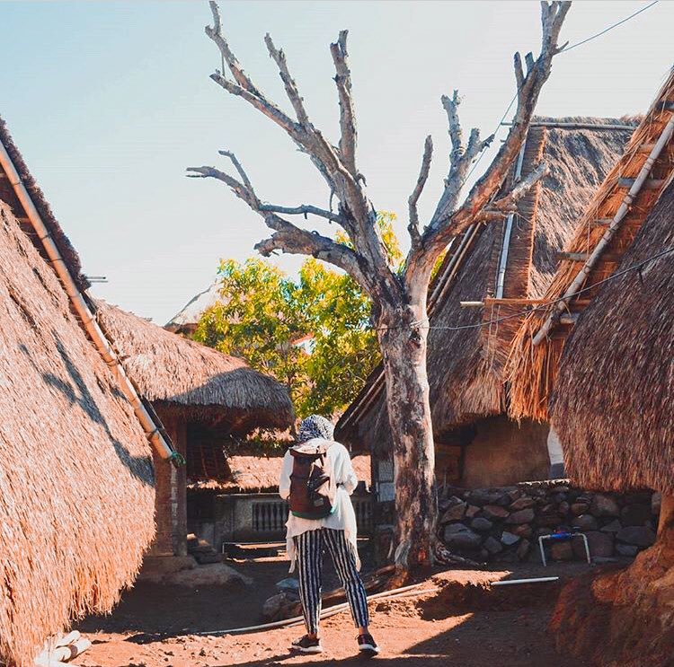 _doraredre's tweet photo. Spot-spot di Lombok yang bisa kamu Explore dari Wisata Adat Hingga Pantai! 

Lombok itu TOP karena air pantainya masih bersih, pasirnya putih semua, definisi Indonesia Kaya Pesona Alam! 

Cek disini untuk video MODAL NEKAT KE LOMBOK 7 HARI BAWA 1.5JUTA! https://t.co/2shl6CtUKo https://t.co/91R75Era3D