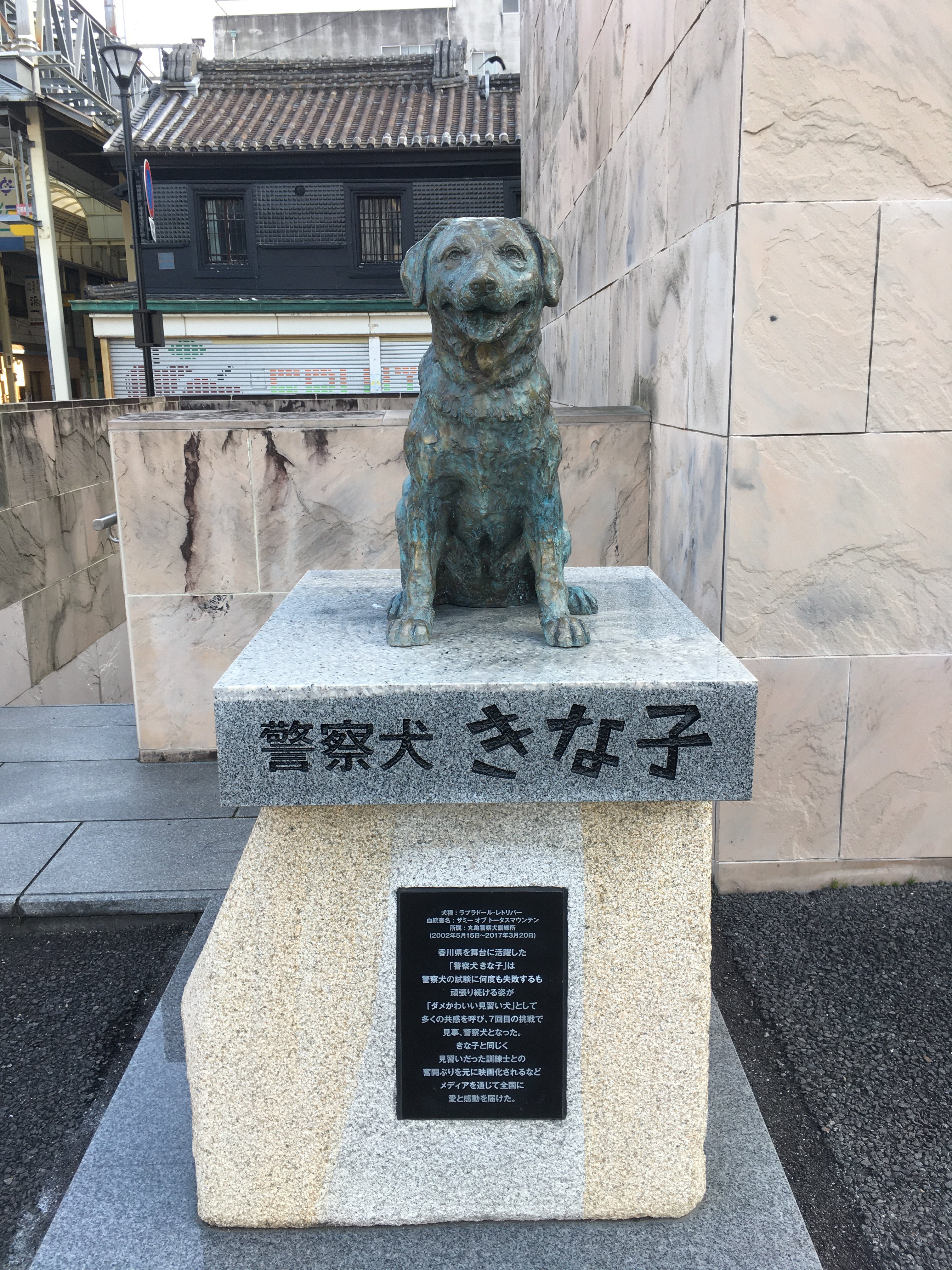 警察犬きな子 Twitter Search Twitter