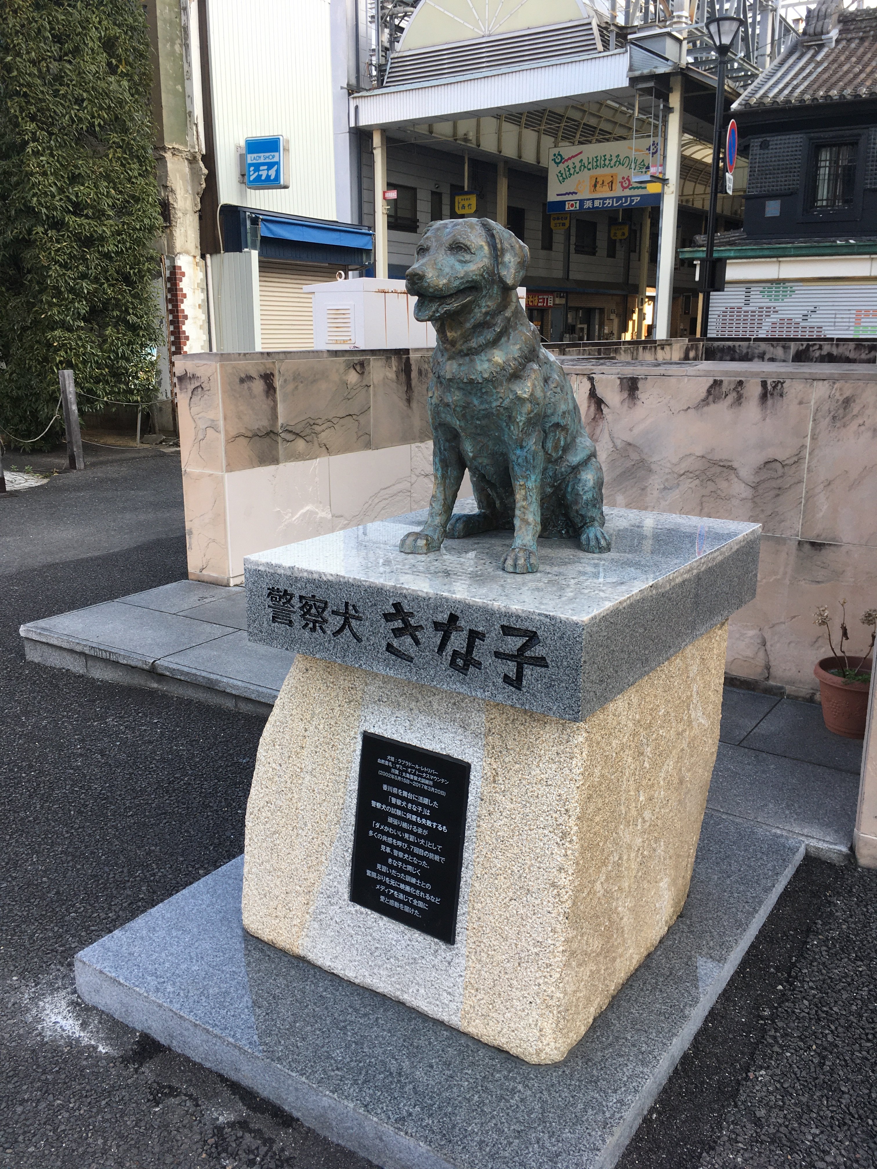 警察犬きな子 Twitter Search Twitter