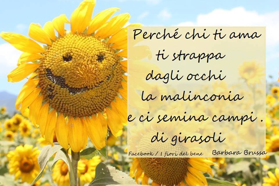 Ifioridelbene.com on Twitter: "Viva i seminatori di girasole :D #cit  #citazioni #citazionedelgiorno #girasoli #pensierieparole #frasi  #barbarabrussa #amore #sanvalentino https://t.co/APrecRNe41" / Twitter