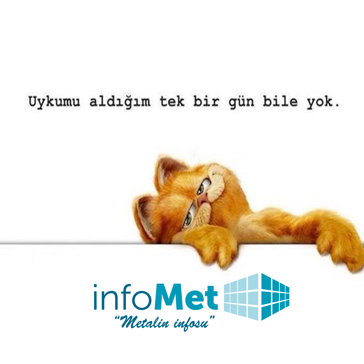 infometcephe's tweet photo. Güzel bir havada uyumak mı,gezmek mi? Keyif sizin, mutlu pazarlar ;)
https://t.co/3aofuIUNsl
#infometcephe #aluminyum #pazar #dışcephe #silikoncephe #aluminium #camcephe #giydirmecephe #kapaklıcephe #kompozitpanelkaplama #spidercephe #cephetasarımı #güneşkırıcı #engineering https://t.co/6ZBO5theuM