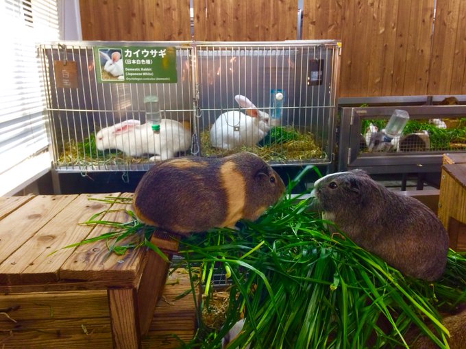 Twitterのコスプレ画像30