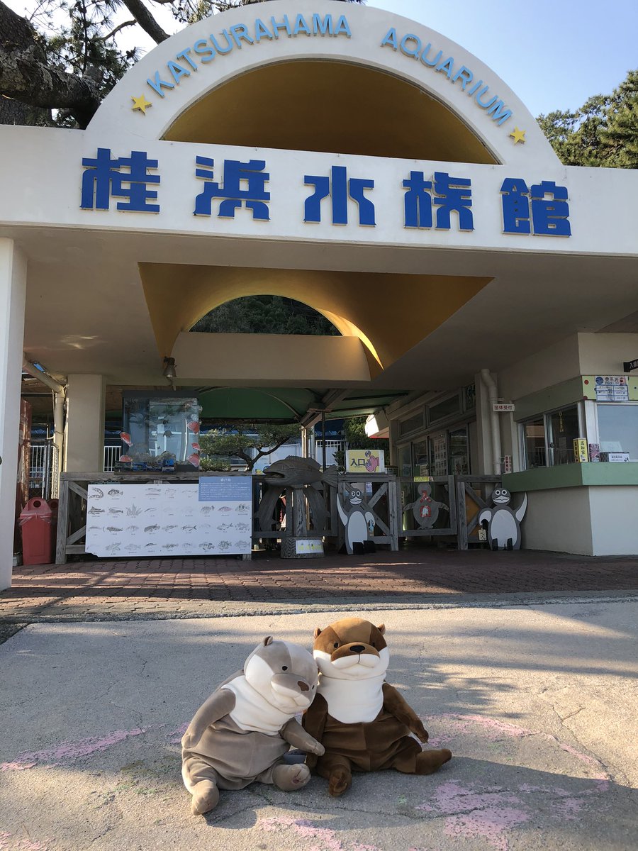 IshimuraYudai's tweet photo. やっと買えたおっさん。
店員さんにおつまみとお酒がエサと言われたので、ビールあげました。
#桂浜水族館 #ウソみたいなおっさん https://t.co/nIvlSrgvBI