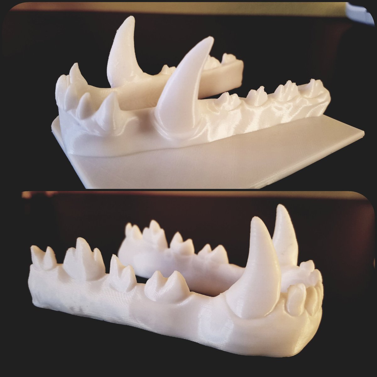 LizkaysArt's tweet photo. 3Dsculpting & PLAprint of a wolf's jaw, I created using Sculptris and Anycubic Printer, for Mane ❤ Really enjoyed working on this as it's something completely new for me
#3d #3dprint #3dsculpt #scupltris #sculpting #wolf #wolfteeth #fursuit #cosplay #costume #jaw #teeth #fangs https://t.co/bvtoCRNVNY