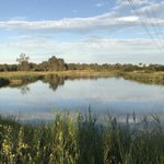 Photo by Yarra Pools (@YarraPools)