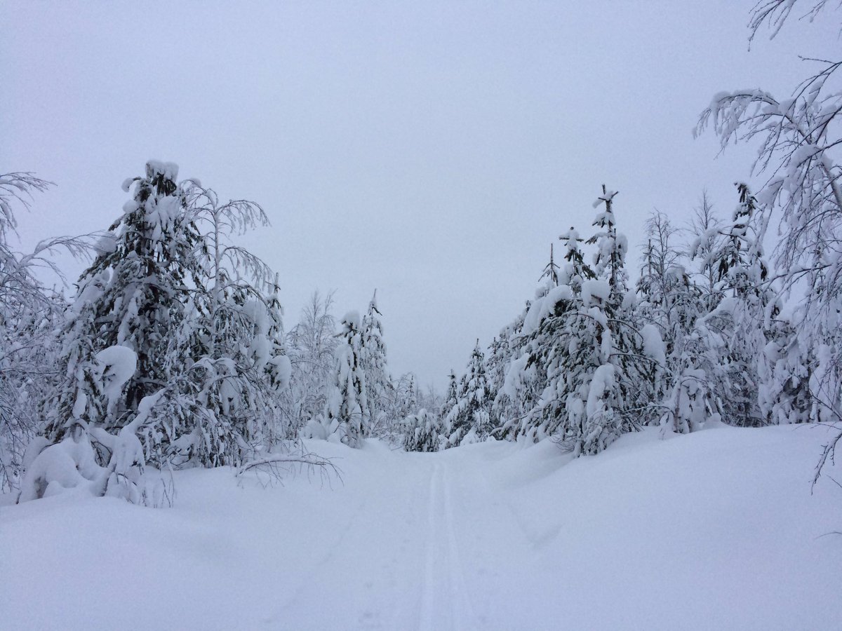 CynthiaGhysels's tweet photo. #72HOURSRELOAD LAPLAND
Thanks @elkejeu & @veerlepappaert @72hoursreload https://t.co/4xKsbmXlol