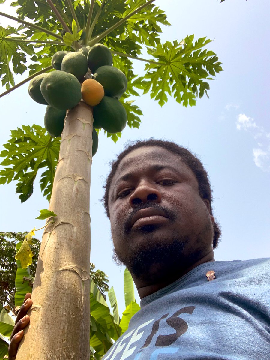 JEFFG237's tweet photo. Taking a break from the promotion of #CallToConscience and I’m cutting paw paw. Who wants to chop paw paw dm me😁😁😁 https://t.co/FxnQ08e7FV