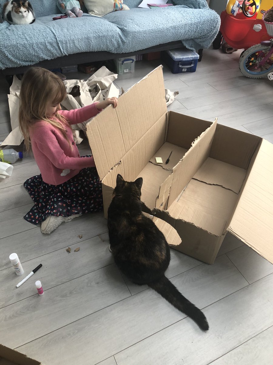 Day_Dreamer73's tweet image. Sunday is never a day of rest in our house! Up early constructing a cat house and a feeding station. Pip is supervising. The dream of a cat rescue continues!!! #cats #PetsMakeaDifference #daughter #furbabies