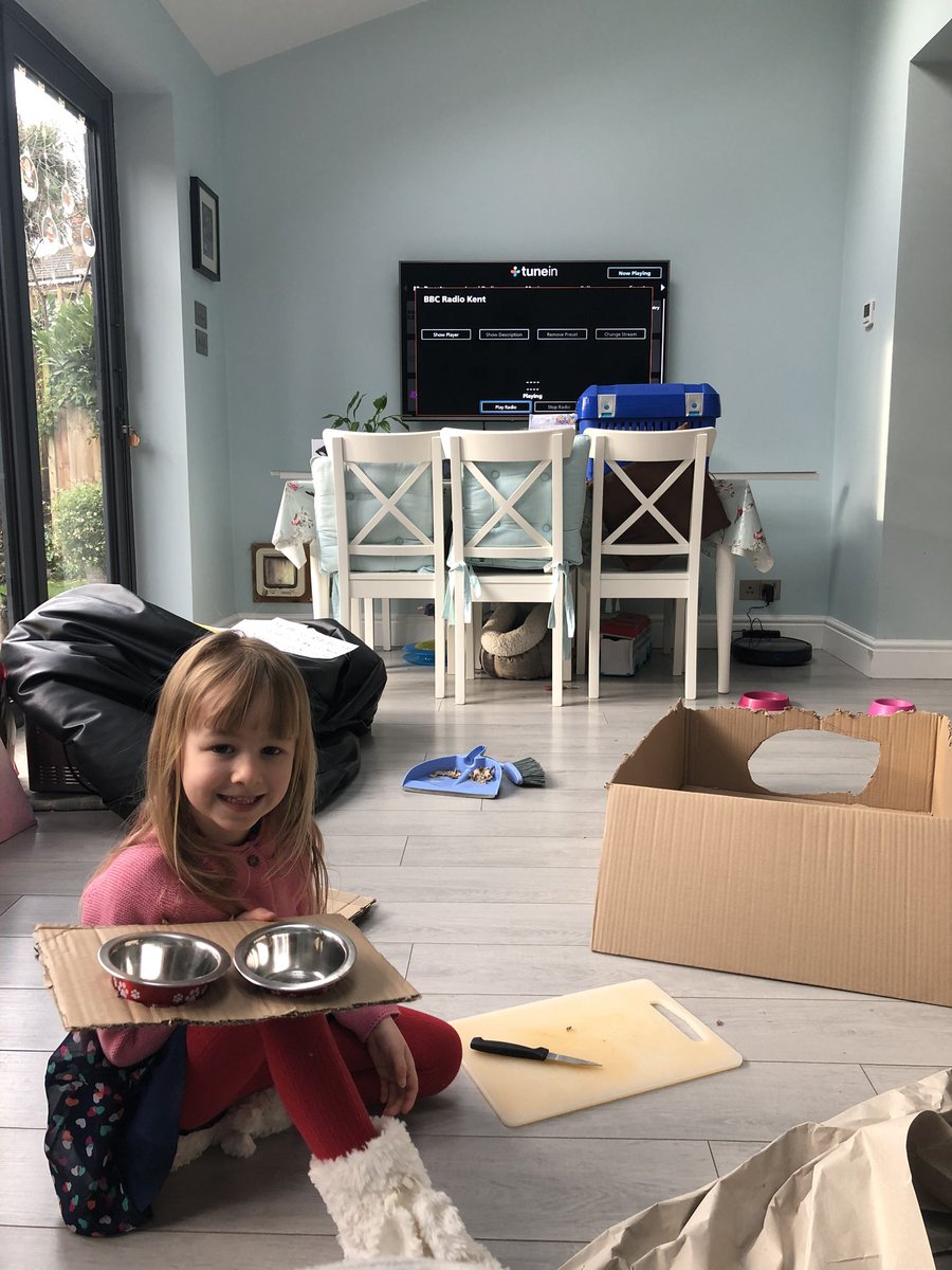 Day_Dreamer73's tweet image. Sunday is never a day of rest in our house! Up early constructing a cat house and a feeding station. Pip is supervising. The dream of a cat rescue continues!!! #cats #PetsMakeaDifference #daughter #furbabies