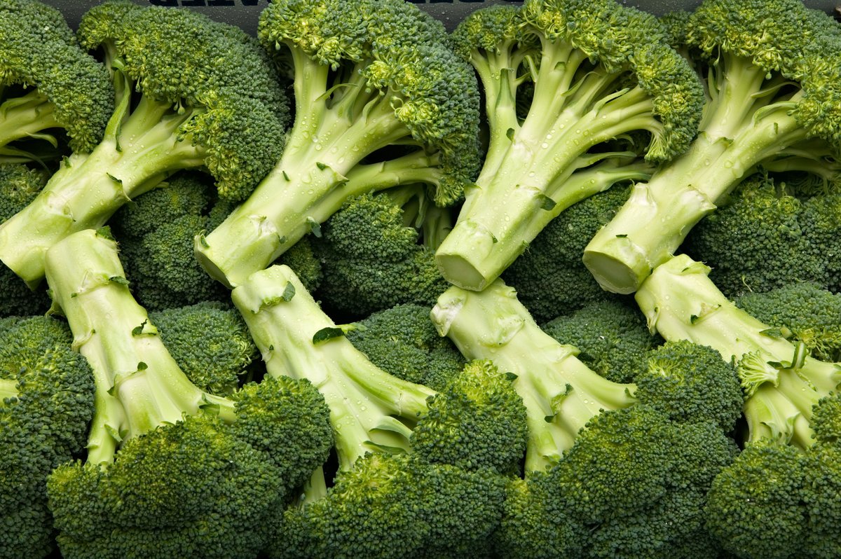 trueleaffarms's tweet photo. Broc on! We harvest several pounds of broccoli daily. It is good source of fiber, and is great implemented into any diet. #Broccoli https://t.co/NBJlpqSMEy