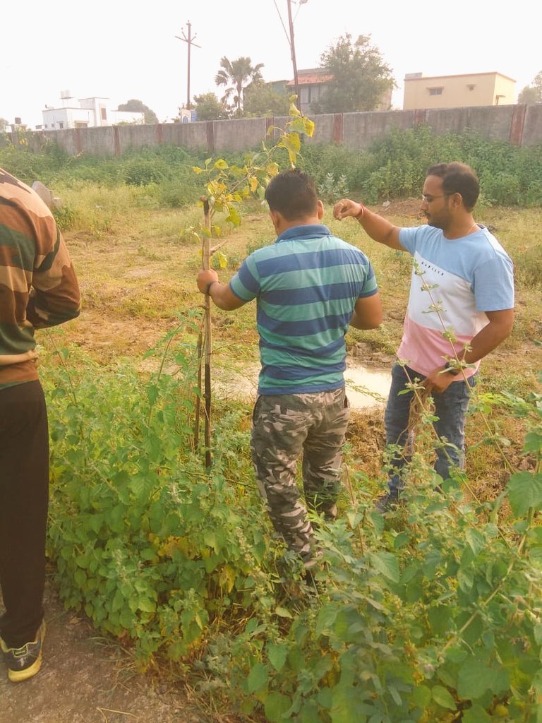 Letscleanamt's tweet photo. 119week completed with maintenance of planted trees in Hindu smashan bhumi on  19/01/20 @NavneetKRana @SunilPDeshmukh @SwachhBharatGov @abpmajhatv @ErikSolheim @ppotepatil @BJP4India @narendramodi @akshaykumar @PMOIndia @CMOMaharashtra @smritiirani @PrakashJavdekar @TrikalAdsad https://t.co/tnIBOQhODF