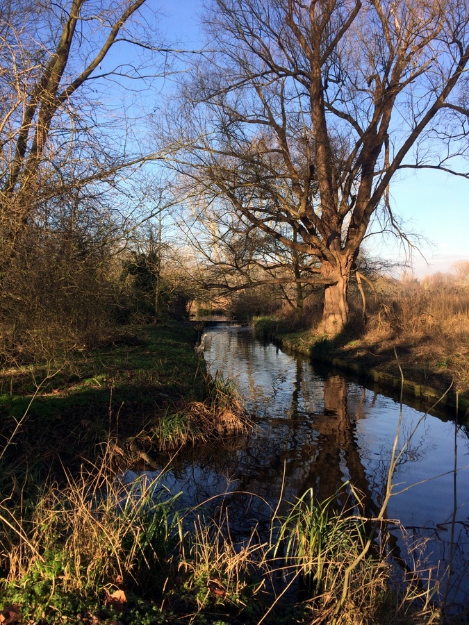 katelewistravel's tweet image. Insider guide to the top secret stuff to do in London #locallondon #mylondon #insiderguide #lovelondon 
ift.tt/2TidPyw