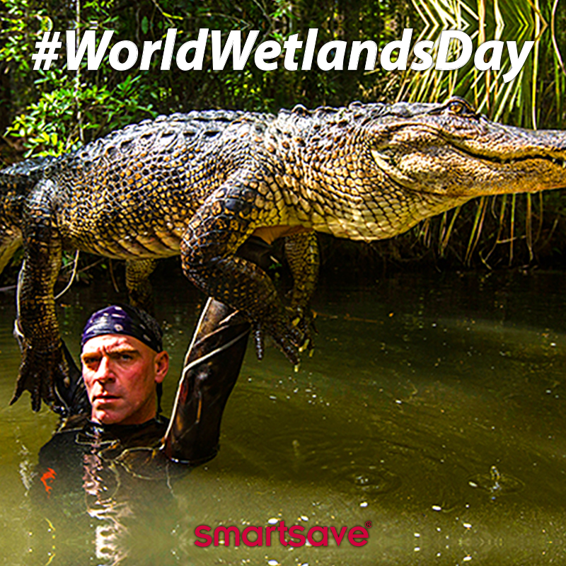 Smartsave's tweet photo. Celebrate #WorldWetlandsDay with Smartsave’s special 20% voucher for your Airboat Ride! Climb aboard and discover Wild Florida Wildlife and Gator Park with all its amazing wildlife. https://t.co/KQFQhZVoYi #US #Florida #Wetlands https://t.co/GBAPrjEYYb