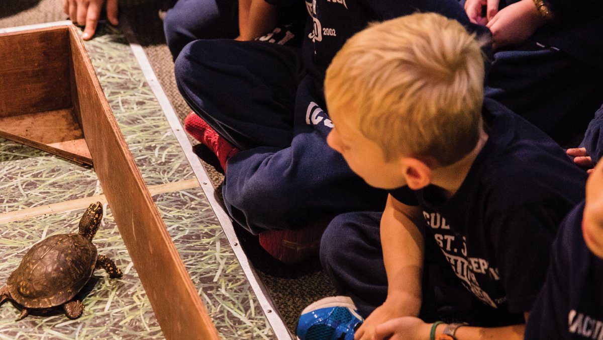 Children with turtle