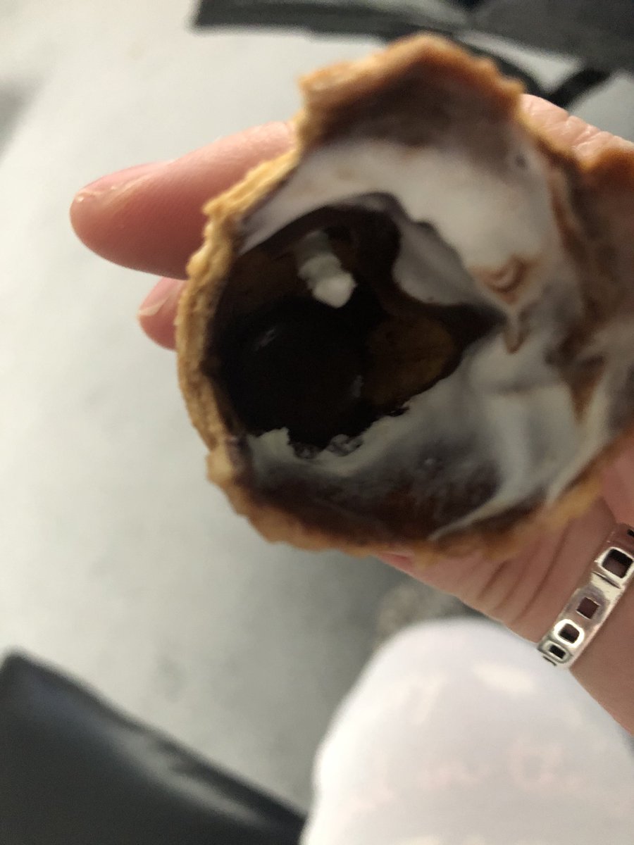 Randomhero316's tweet image. @Morrisons Hi, if you happen to be missing part of the machine that is used in filling your mint chocolate ice creams then we might have just found it in our child’s ice cream cone. Luckily we spotted it before she put it in her mouth. Not Great