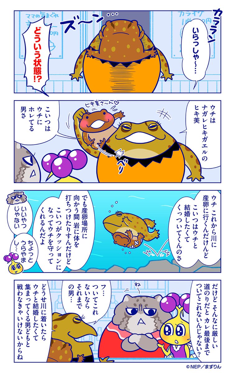 ダーウィンが来た スナック マヌ ル 営業中 今日のお客様は ナガレヒキガエルのヒキ美さん モテまくるタフネス女子ですよ 抱きついたら離れない気骨のあるオスが好みなの これまでのお話も公開中 T Co Lzsymn4kwx ダーウィンが
