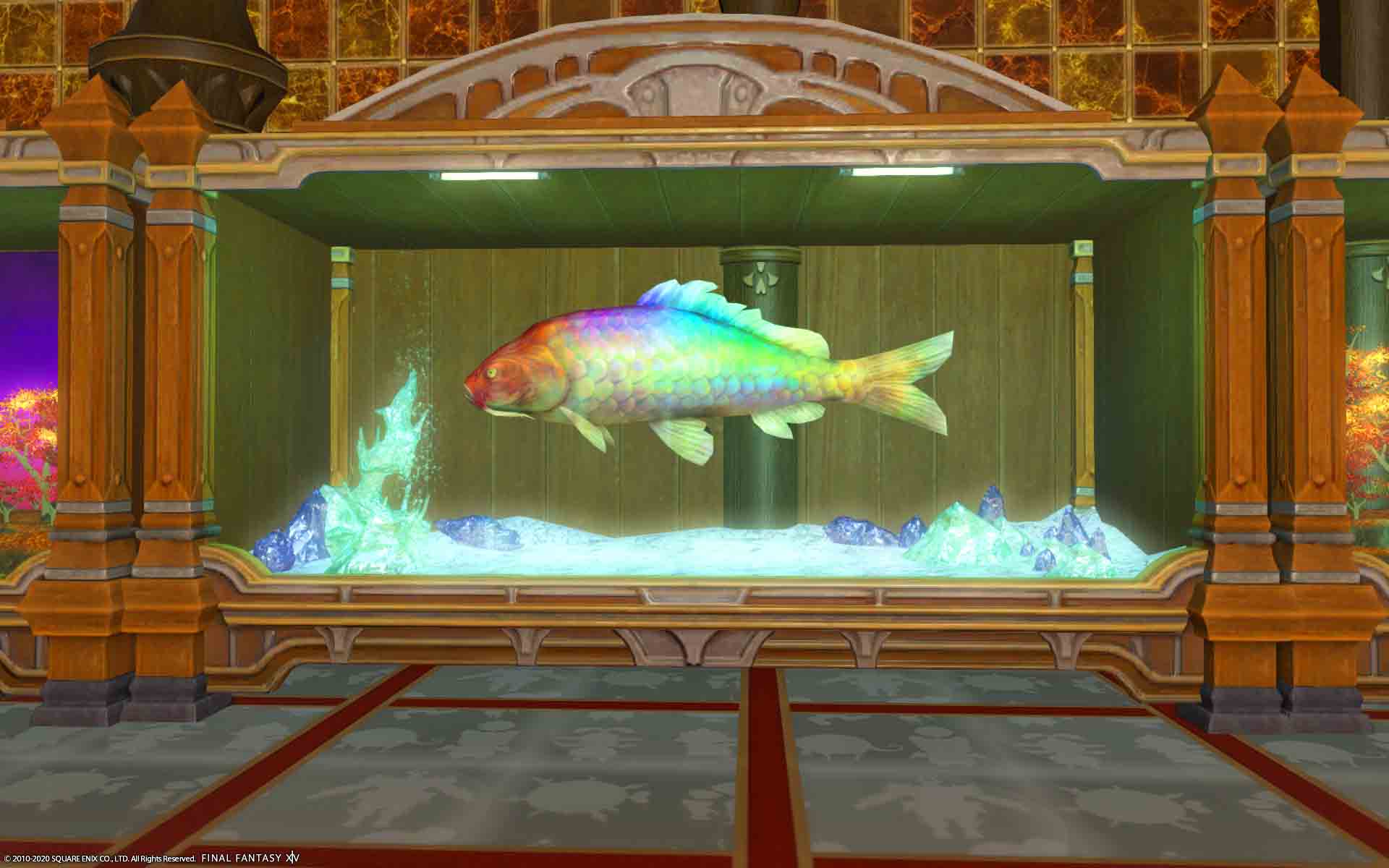 O Xrhsths 白黒の相棒 Sto Twitter Fcメンが虹色の魚を釣って 水槽に入れていた 取り合えずかみさんと一緒に映っていた Ff14