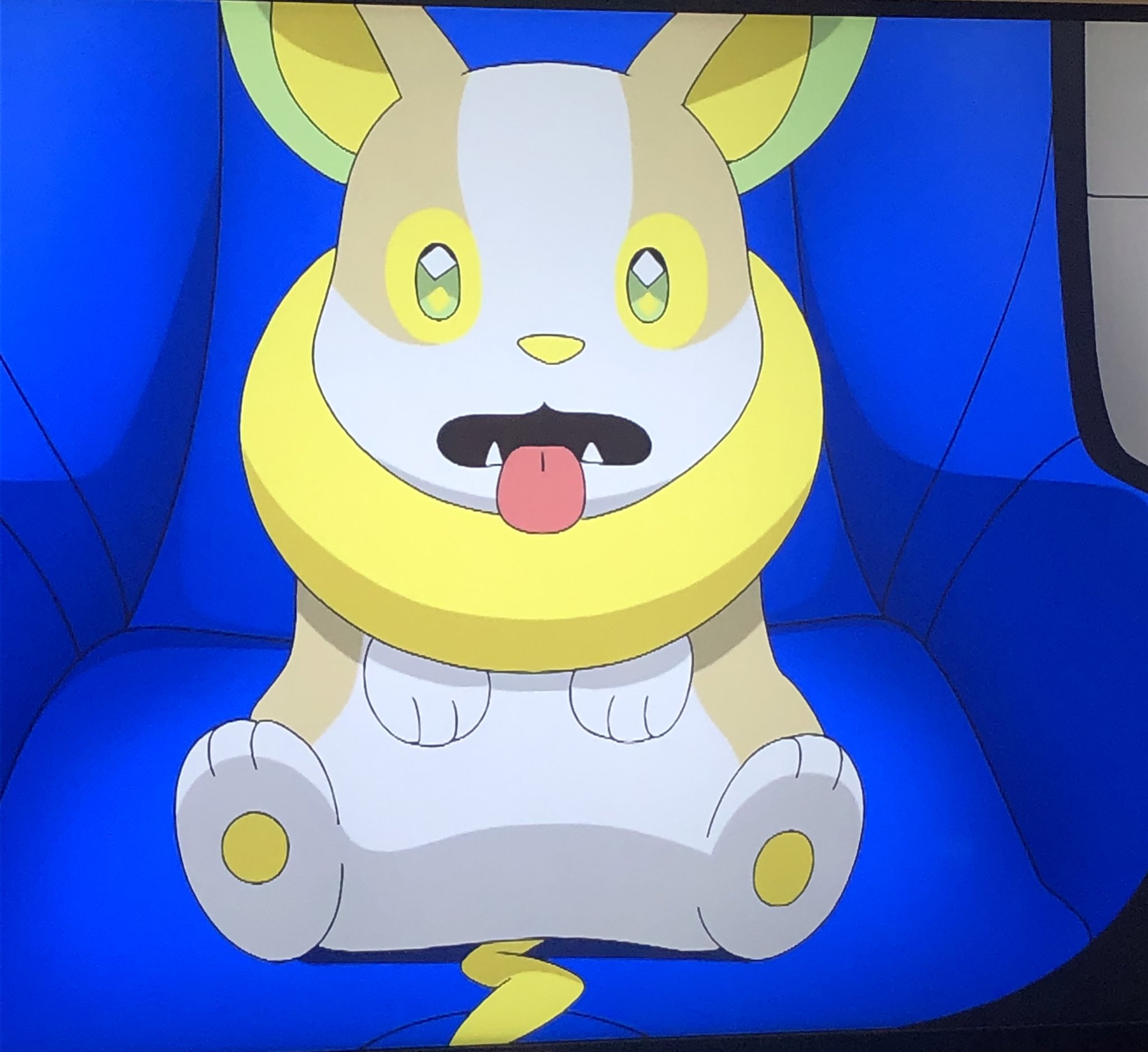 じん Twitter पर アニポケ見たぞ チャイルドシートに座るワンパチ超キュート そしてカイリューのハグはポケモンたちを救う そして初めてコイルのnnが7文字だから変と思ったけどgoでは6文字以上できるから問題ないと思った T Co Tfi2hkiide