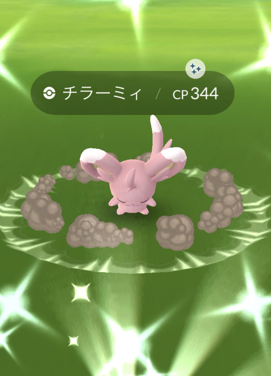 R11437813663's tweet photo. 100%のチラーミィ
完璧なチラチーノです!
シロイーブイの
次くらいに可愛い。。
#12pt https://t.co/OwPfaWO0JF