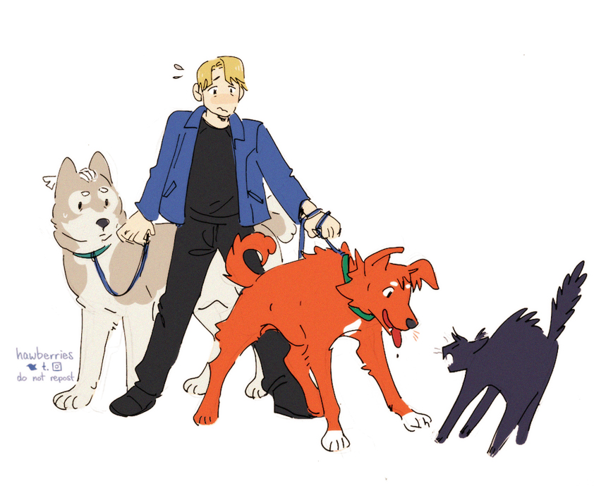 a drawing of dimitri in modern dress, holding the leash to a patient-looking white malamute with one hand, and clutching the leash to a boisterous orange hound in the other; the orange hound is grinning and tugging toward a hissing, yowling black cat.