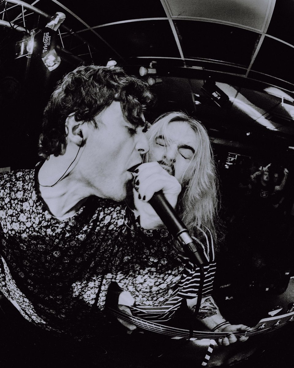 Cutting Teeth tweet media