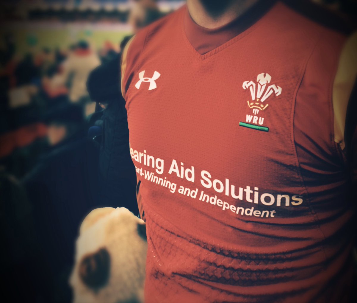 devilsrl's tweet image. Great day in Cardiff yesterday watching @WelshRugbyUnion take on @RugbyItalia. @WalesDeafRugby players proudly wearing their playing shirts promoting deaf rugby and our shirt sponsor @HearAidSolution