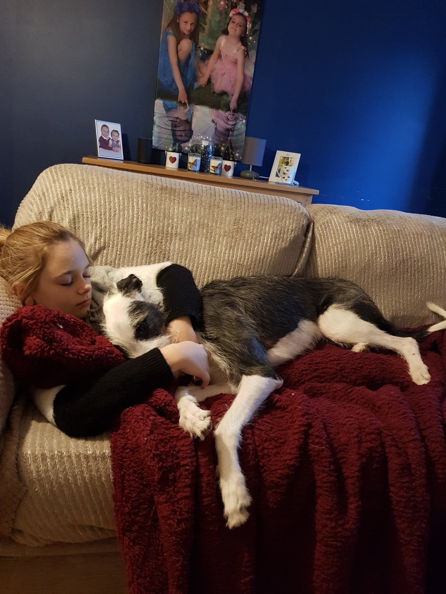 StaceFederico's tweet photo. Blue looking after his poorly human 😍 https://t.co/5sInehzu7a