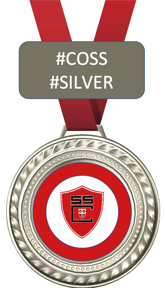 southamptonsc's tweet photo. Medal for Allie! #wowthatwasquick https://t.co/eFFparfSwu